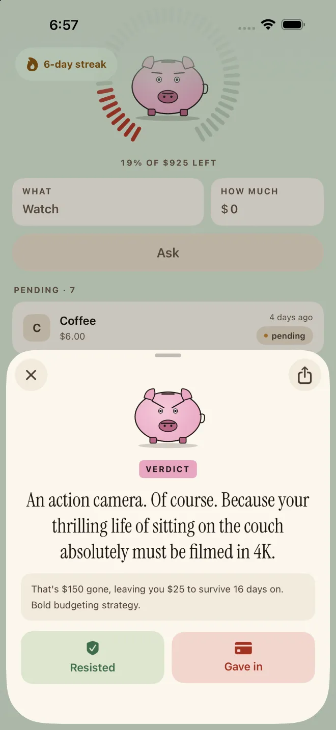 Pork's verdict on an action camera: a roast about filming the couch in 4K and what the purchase leaves to survive on